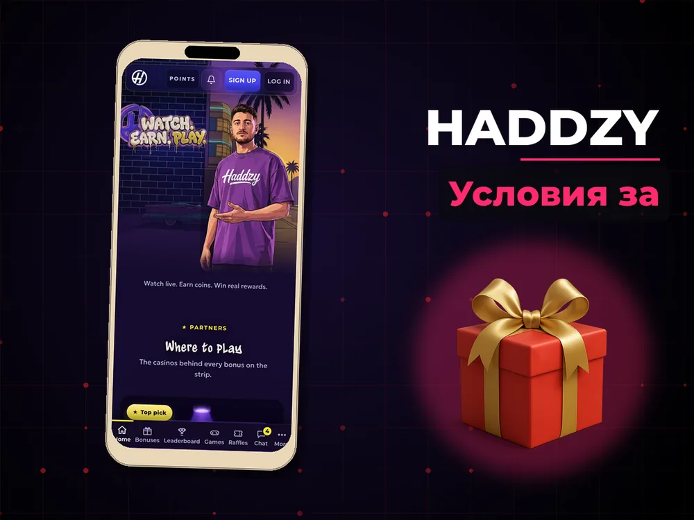 Haddzy - Условия за