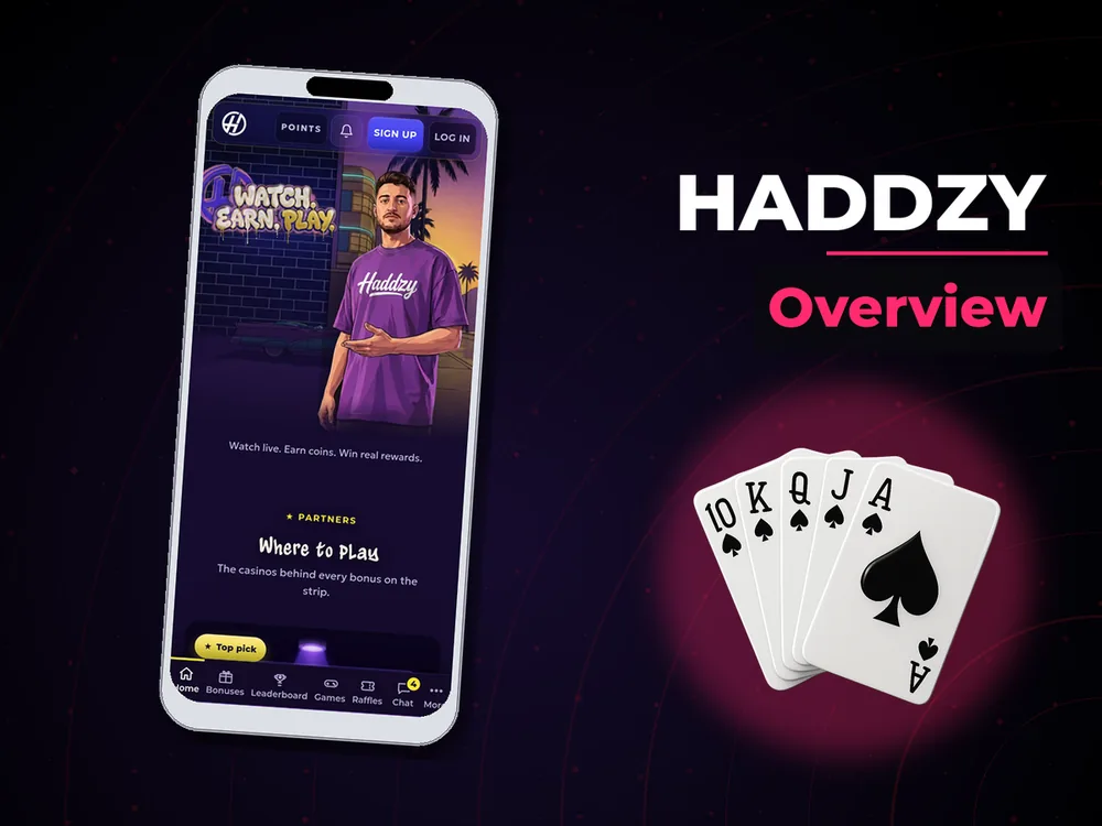 Haddzy - Overview