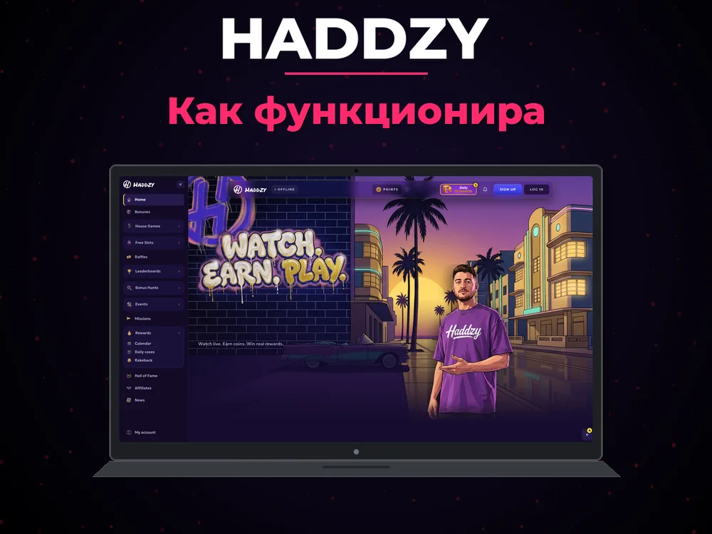 Haddzy - Как функционира